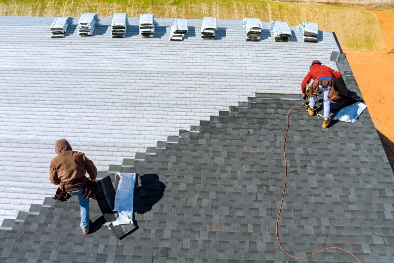 Professional Roof Repair