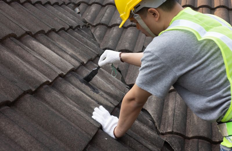 Roofing Service - Repair